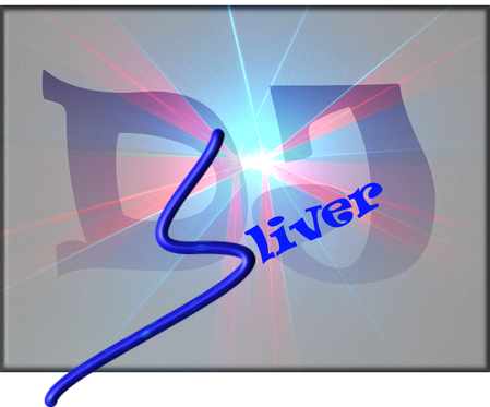 DJ Sliver - 2005